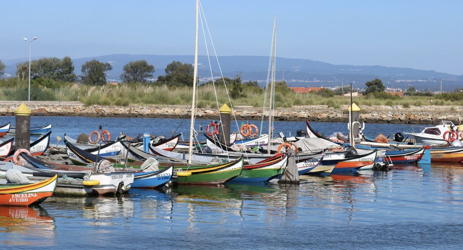 Leuke bootjes in Aveiro Leuke bootjes in Aveiro